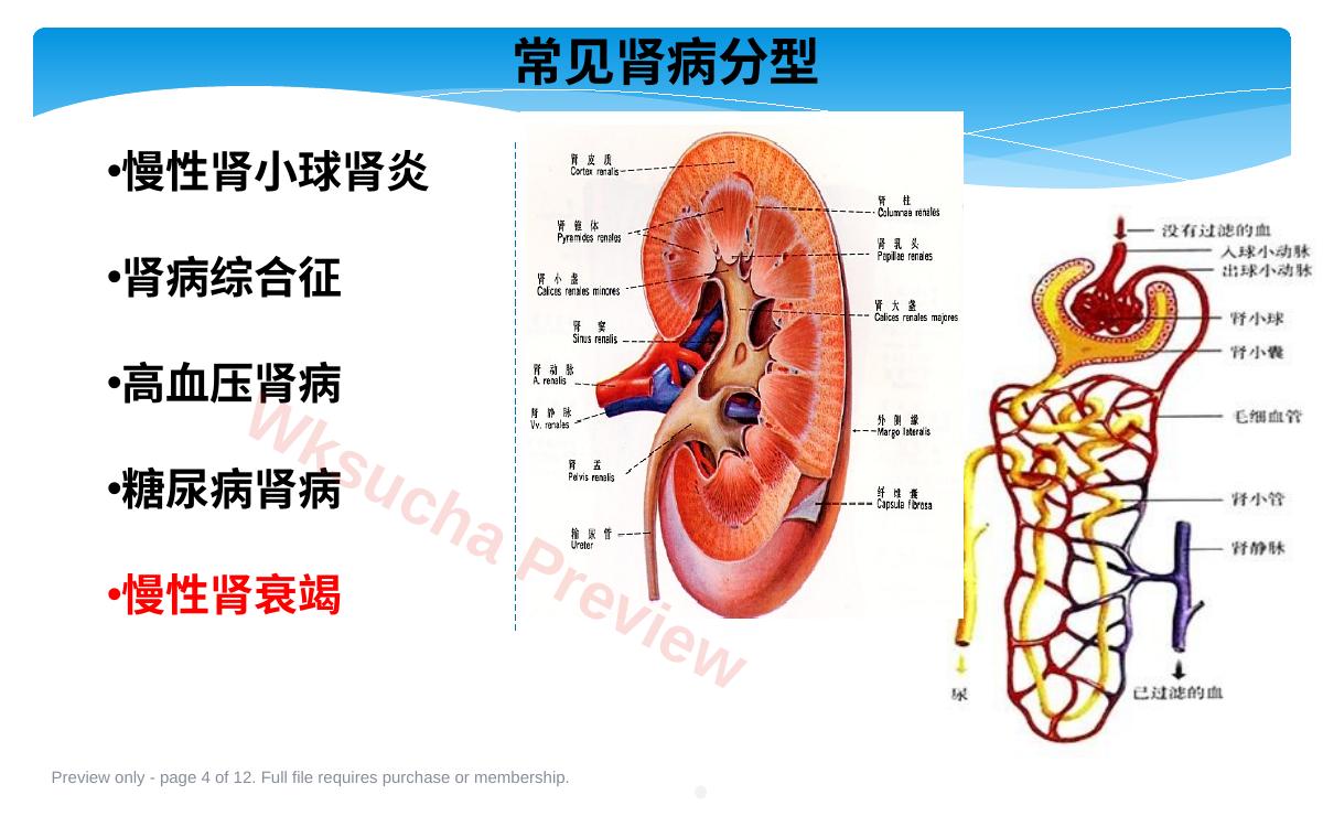 预览第 4 页