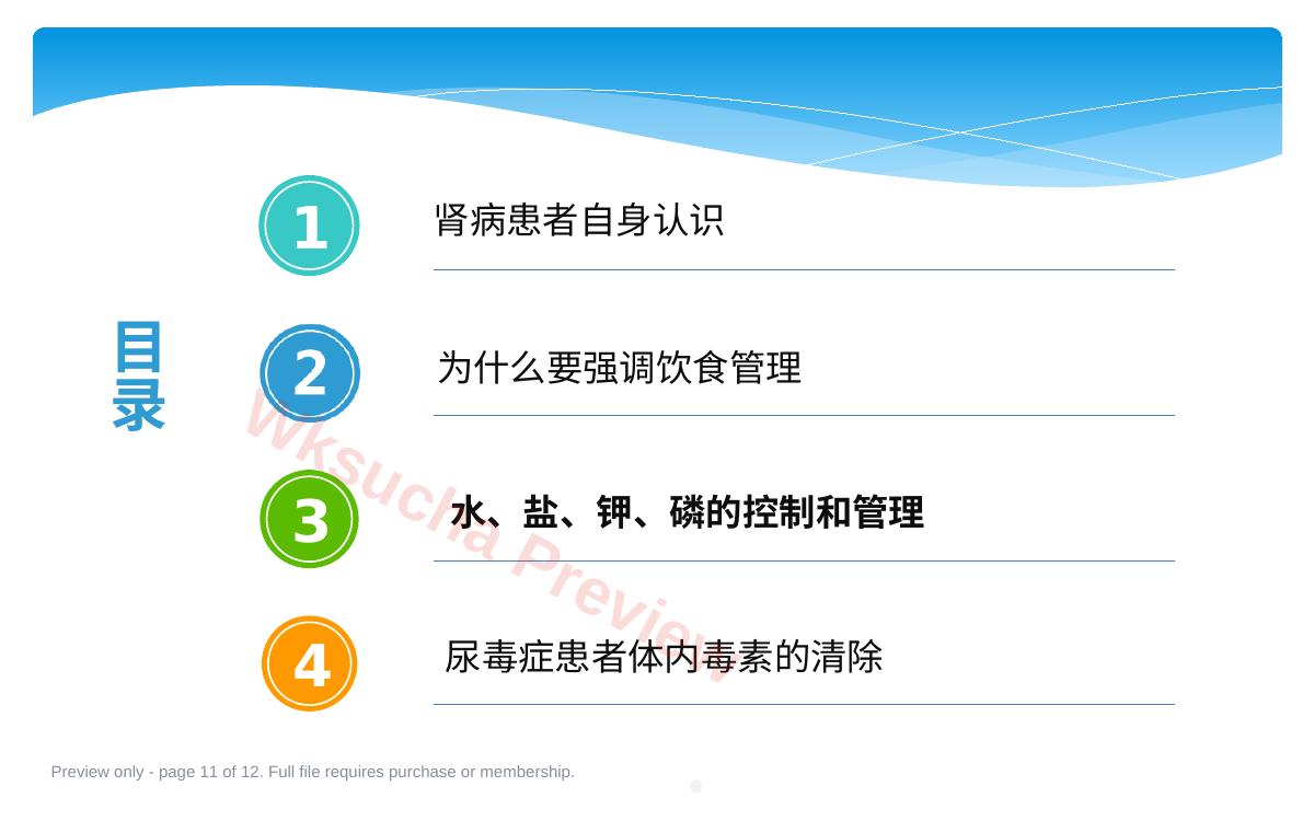 预览第 11 页