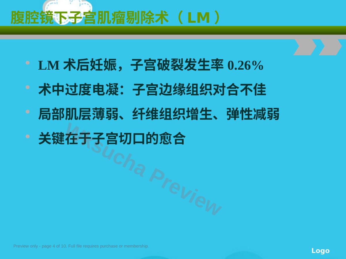 预览第 4 页