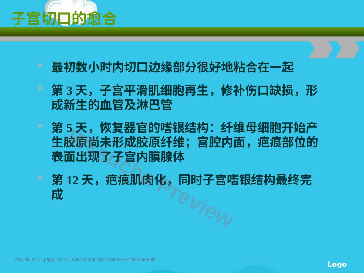 预览第 5 页
