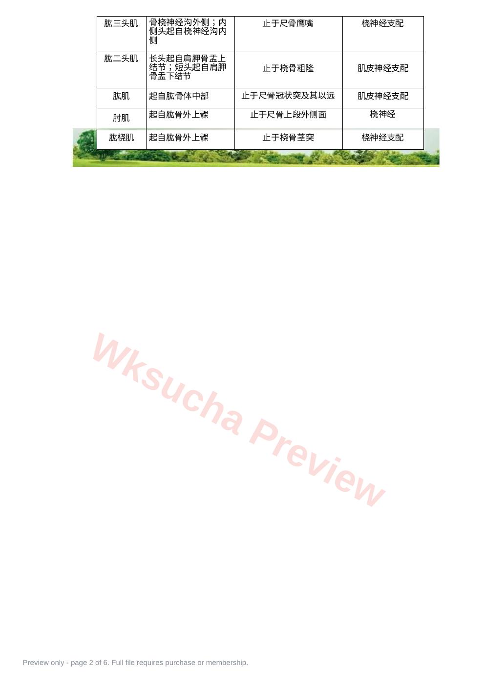 预览第 2 页