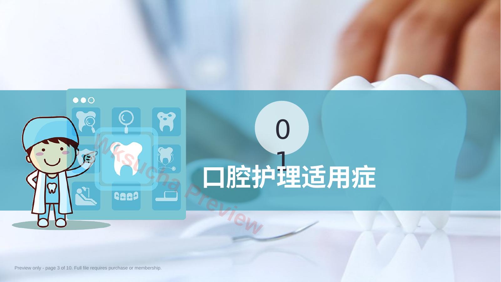 预览第 3 页