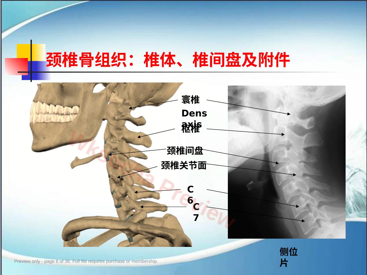 预览第 6 页
