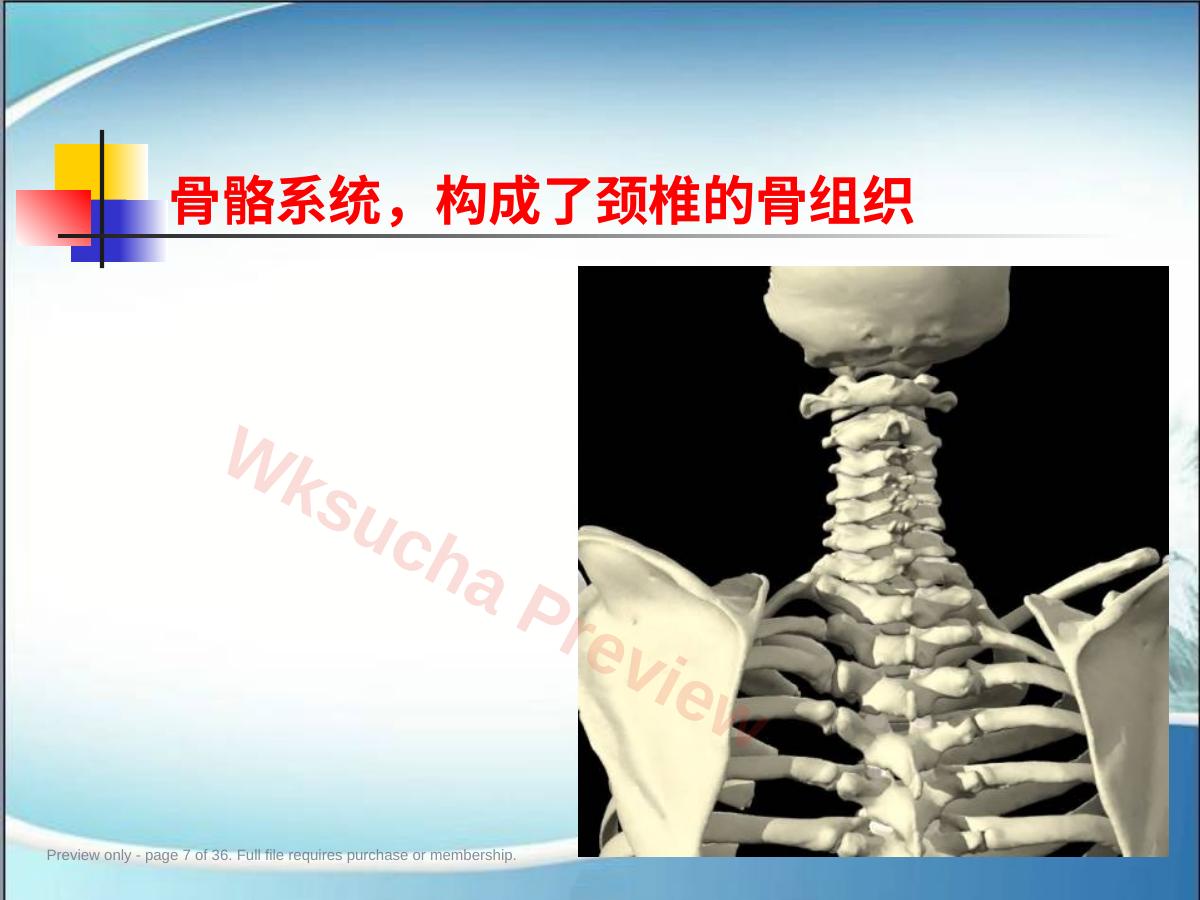 预览第 7 页