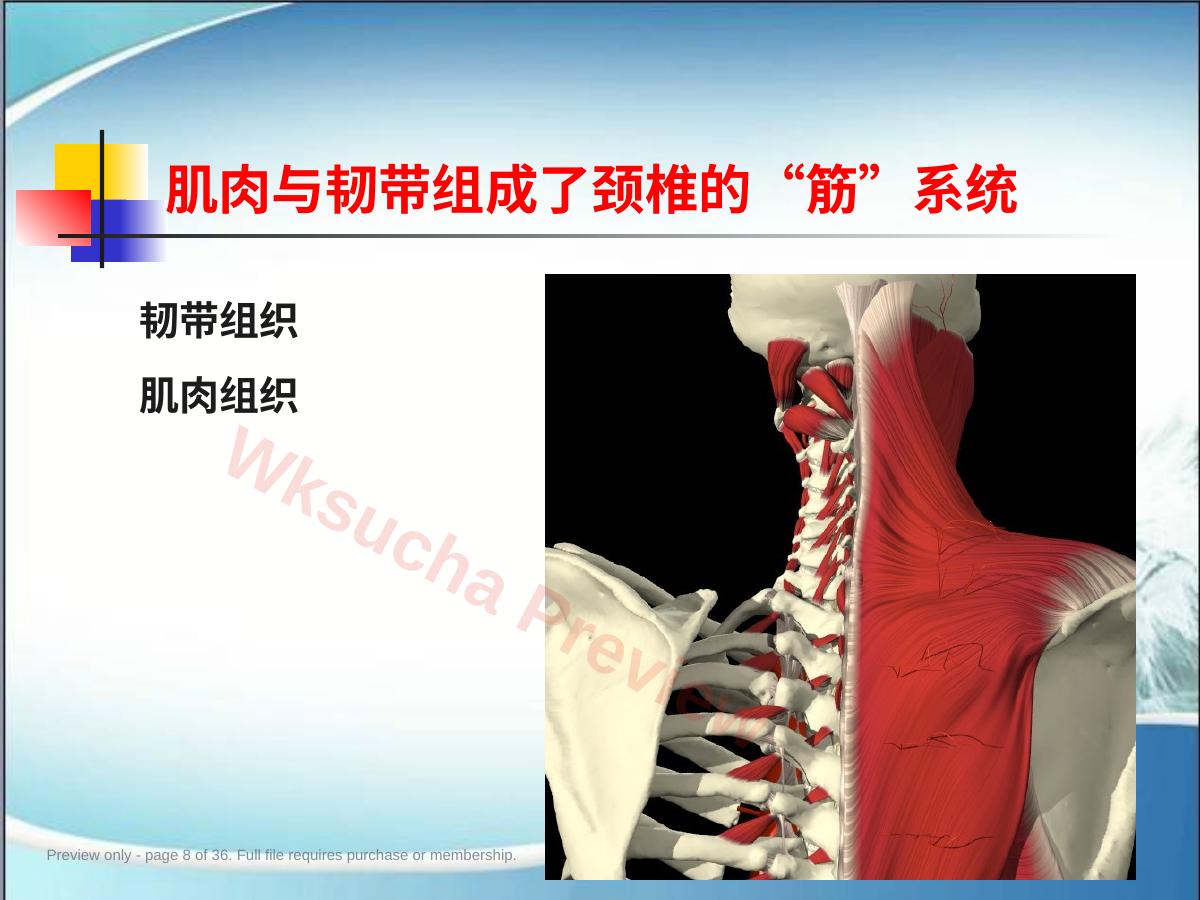 预览第 8 页