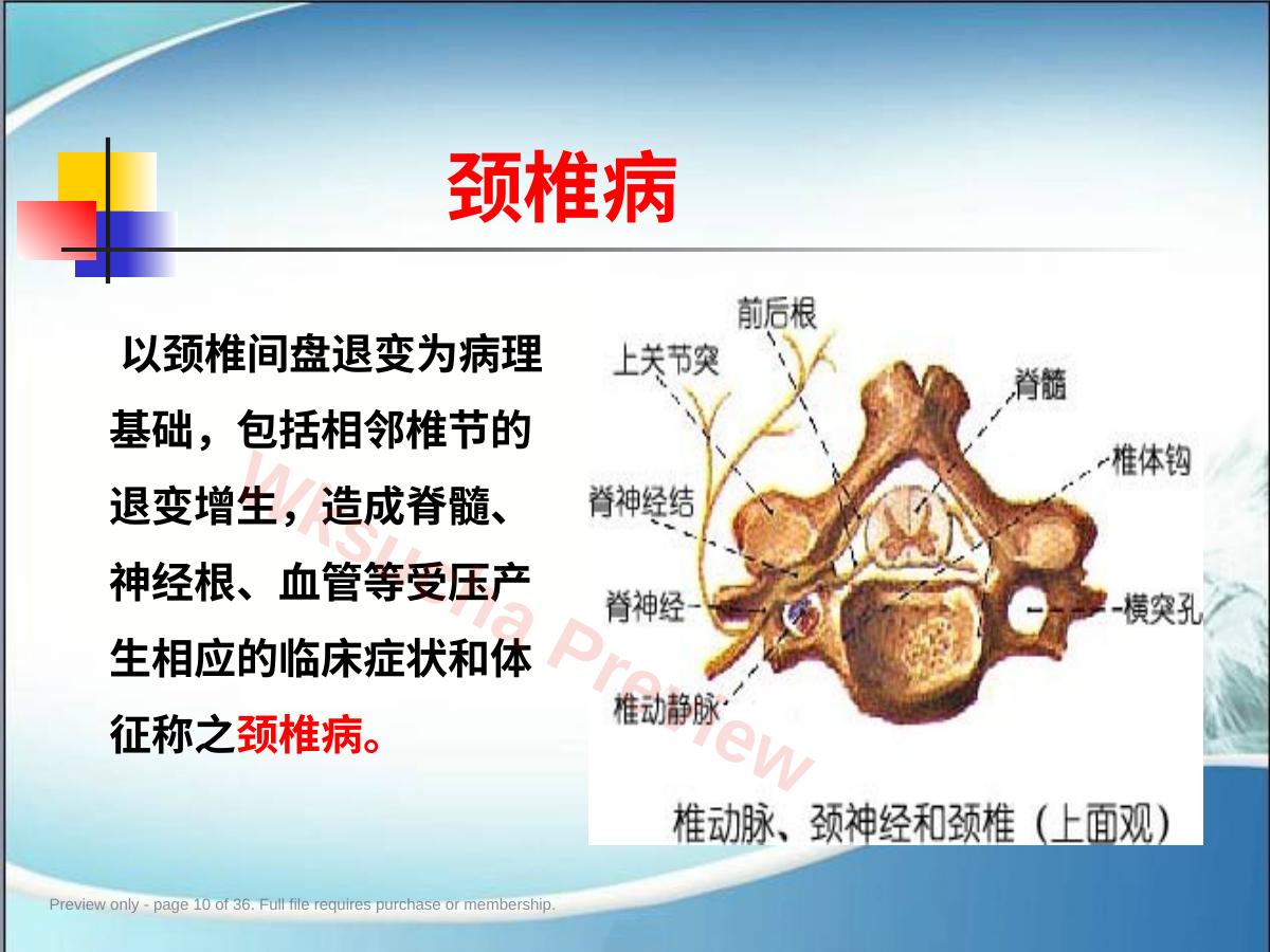预览第 10 页