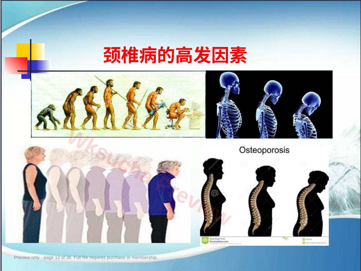 预览第 12 页