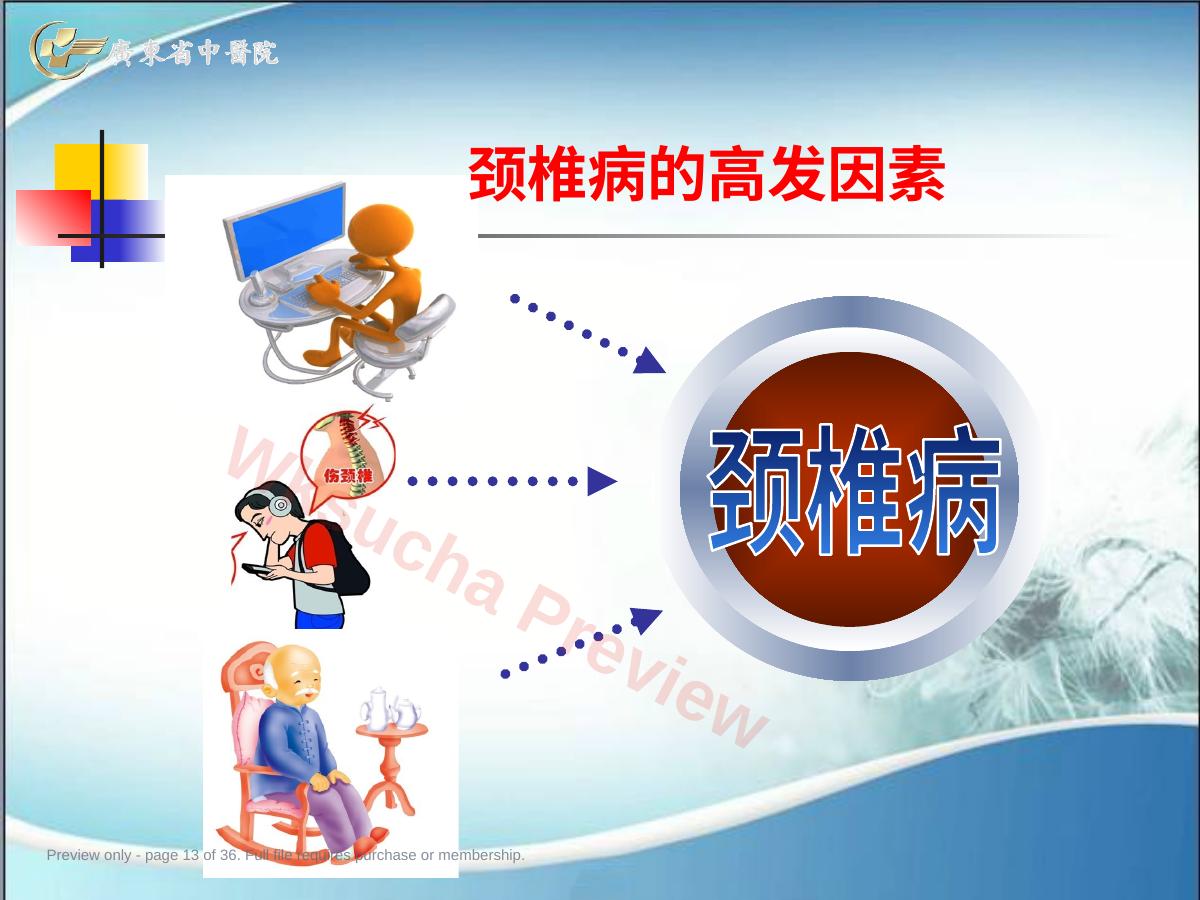 预览第 13 页