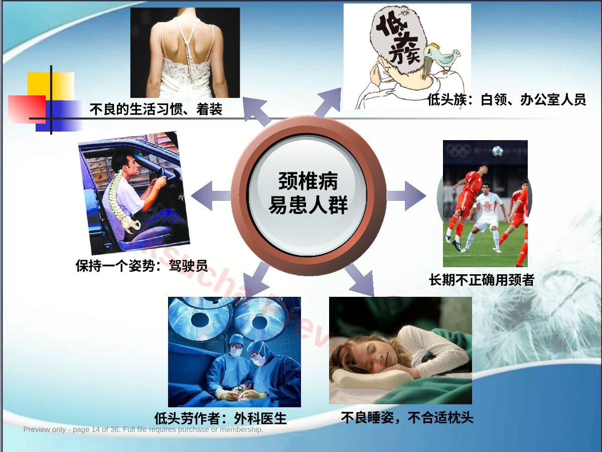 预览第 14 页