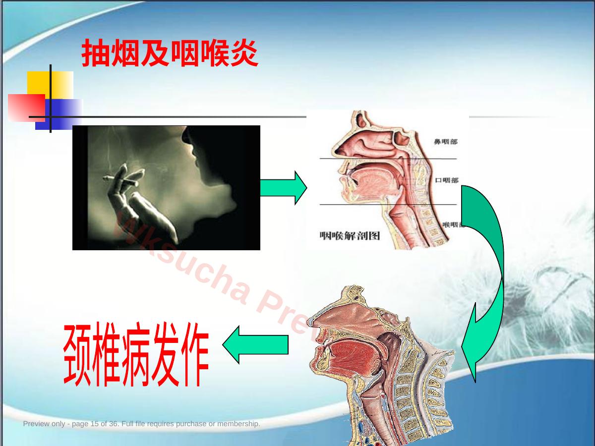 预览第 15 页