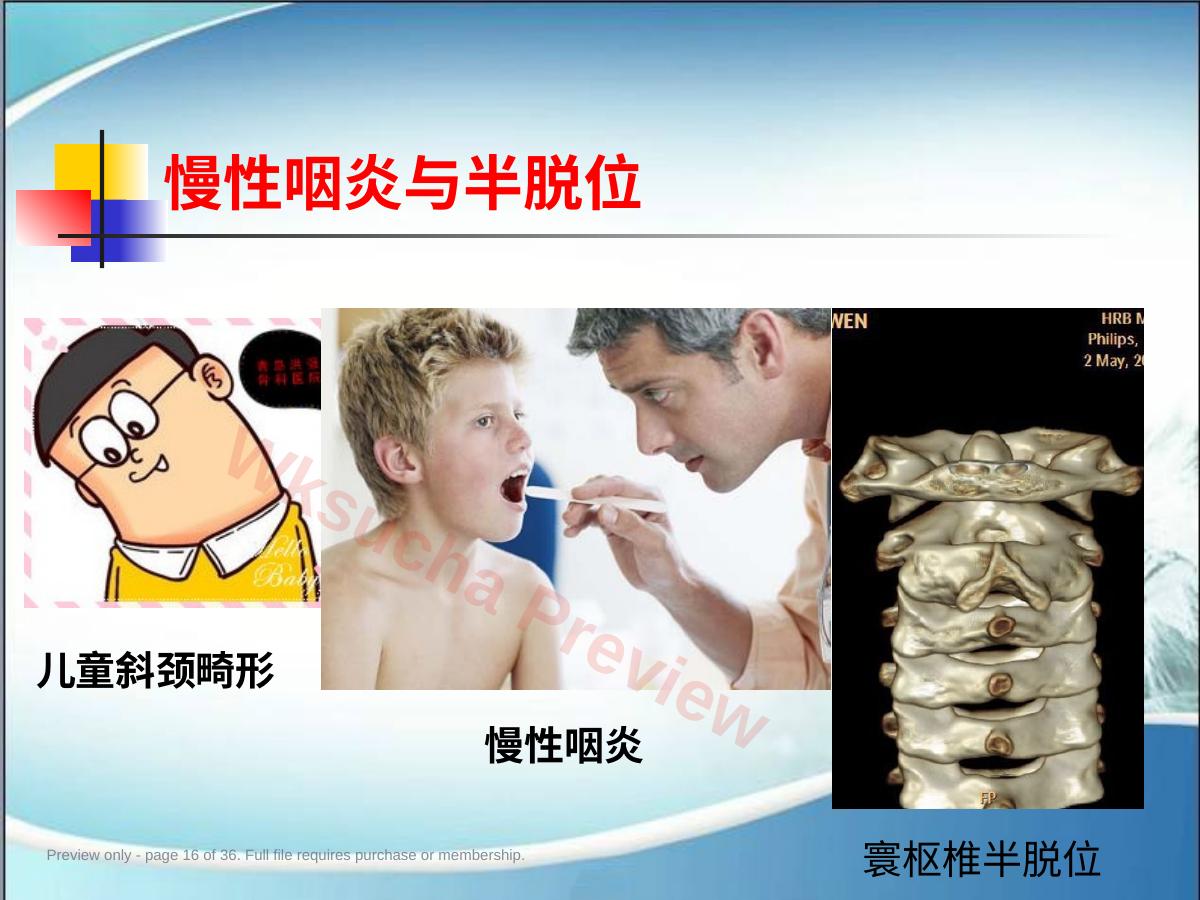 预览第 16 页