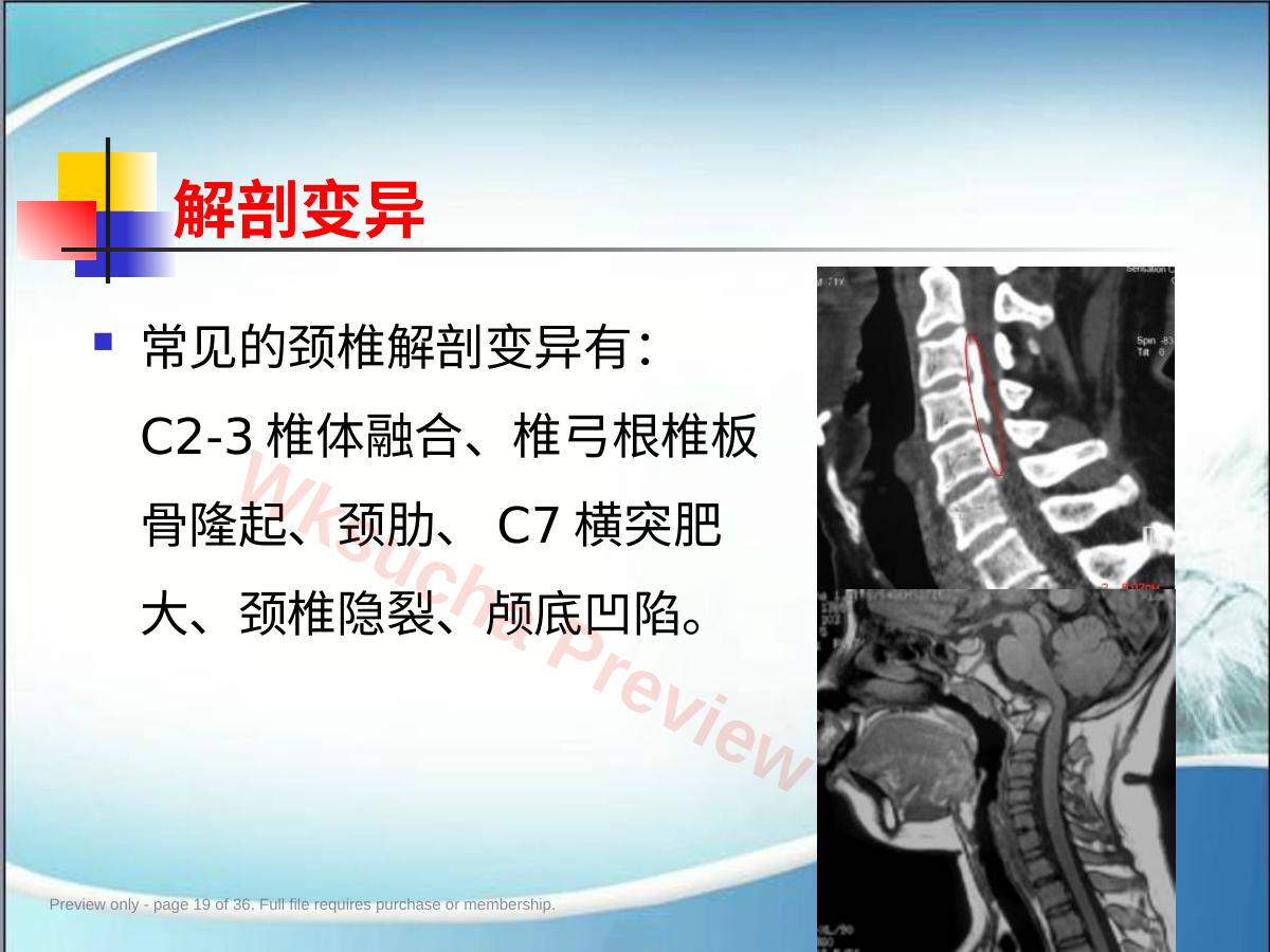 预览第 19 页