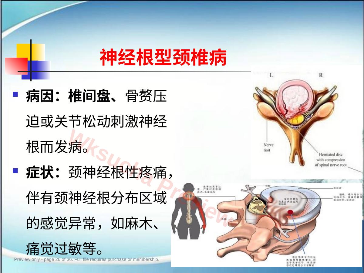 预览第 26 页