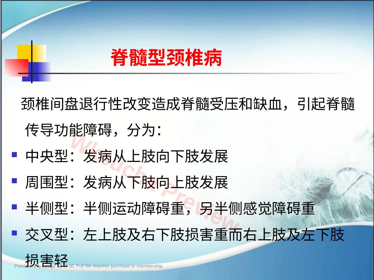 预览第 32 页