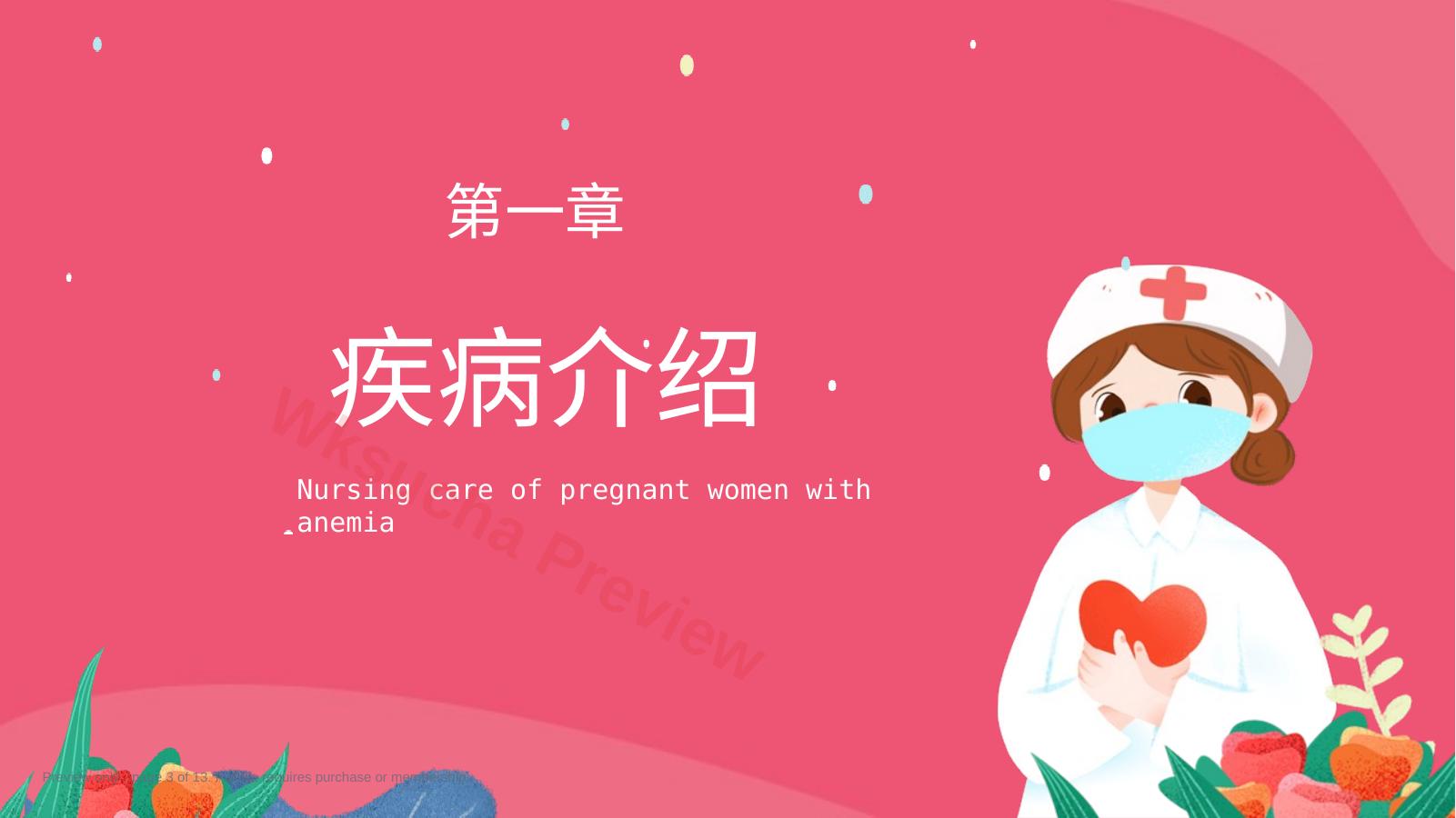 预览第 3 页