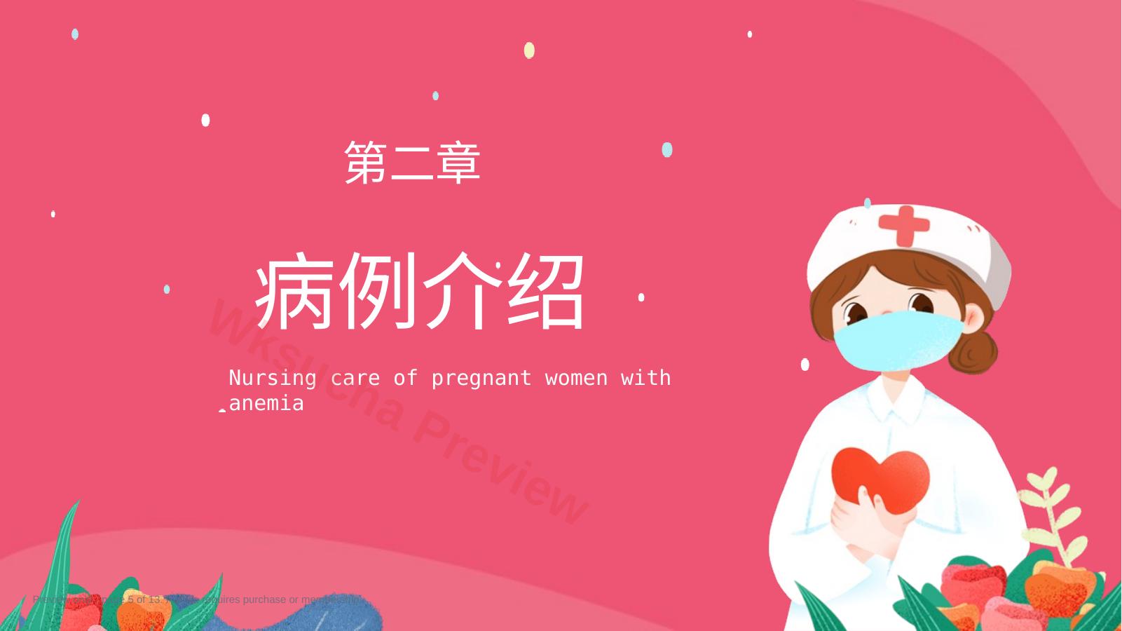 预览第 5 页