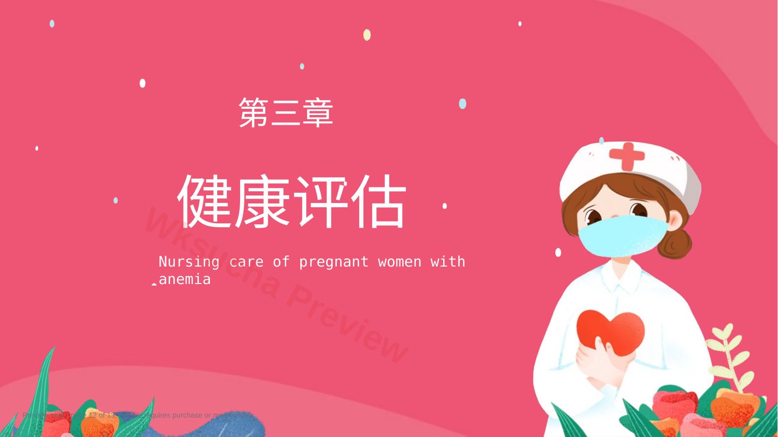 预览第 12 页