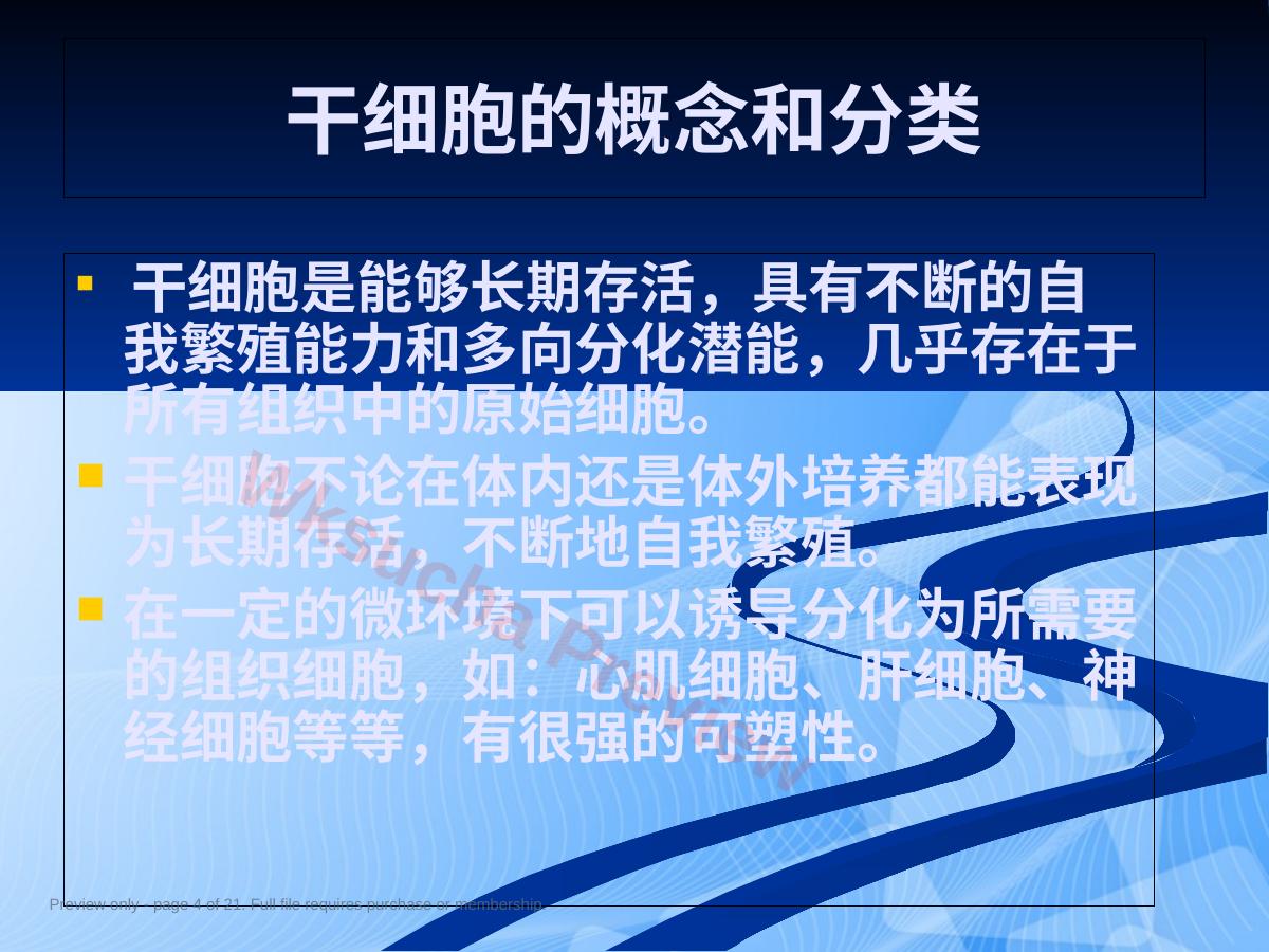 预览第 4 页