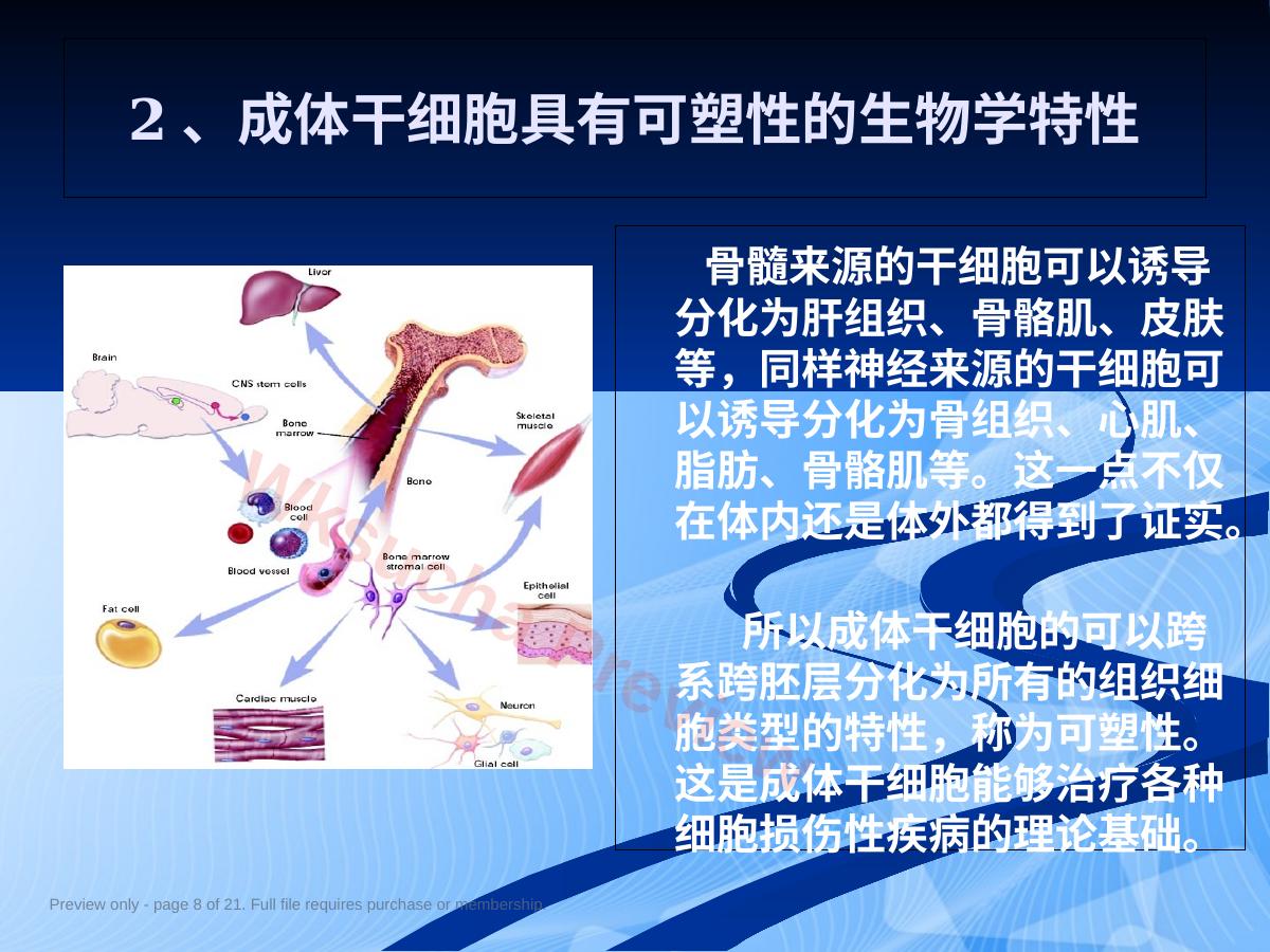 预览第 8 页