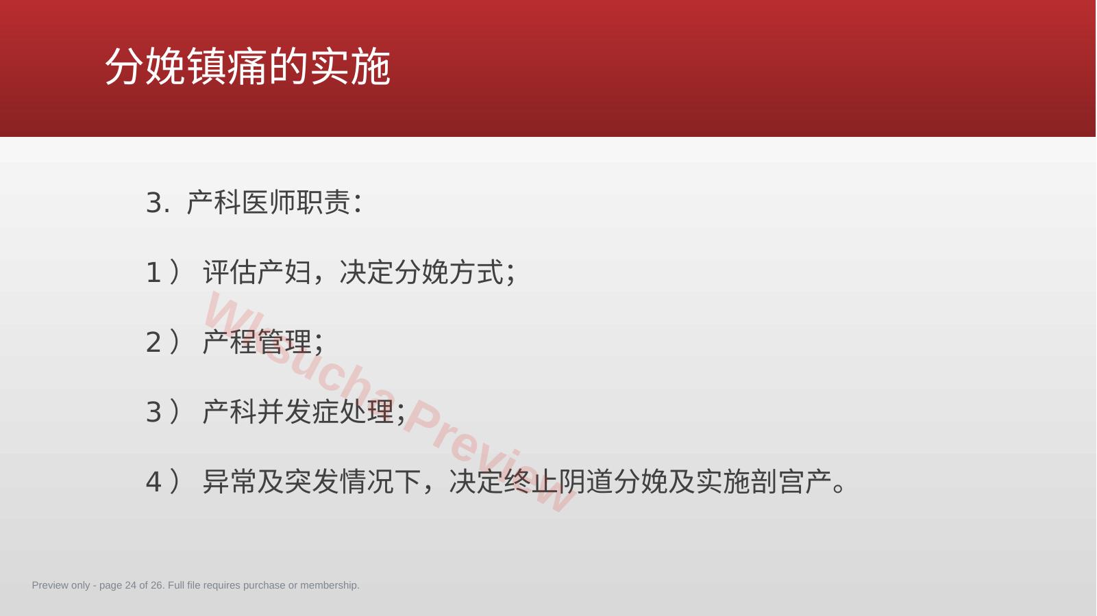 预览第 24 页