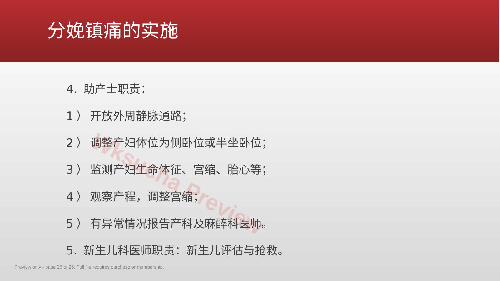 预览第 25 页