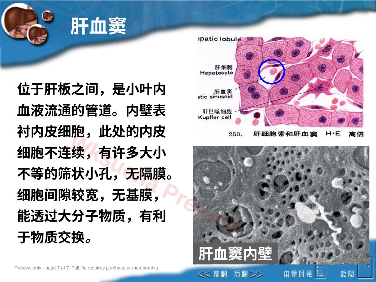 预览第 7 页