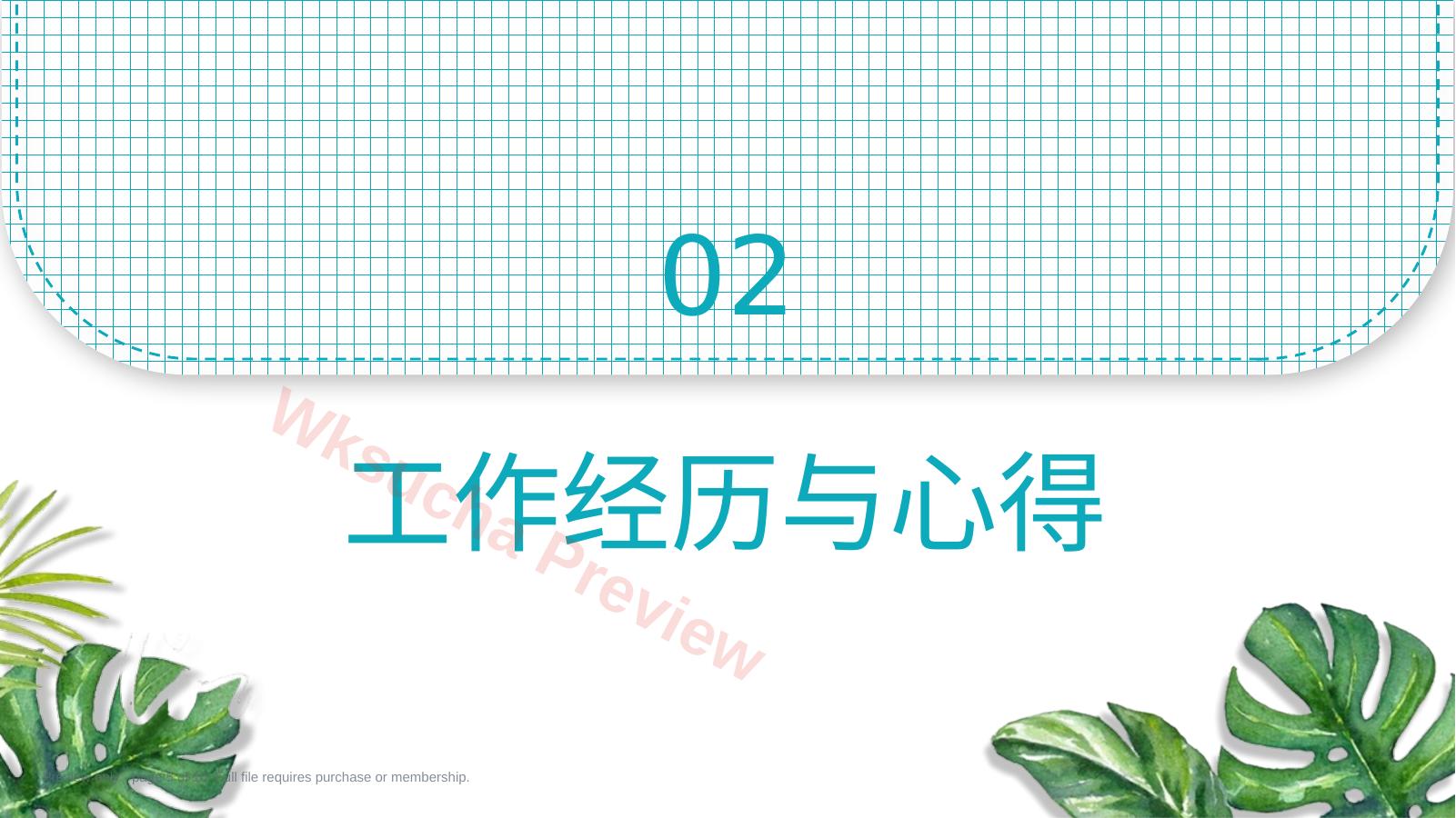 预览第 5 页