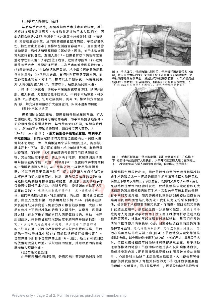 预览第 2 页