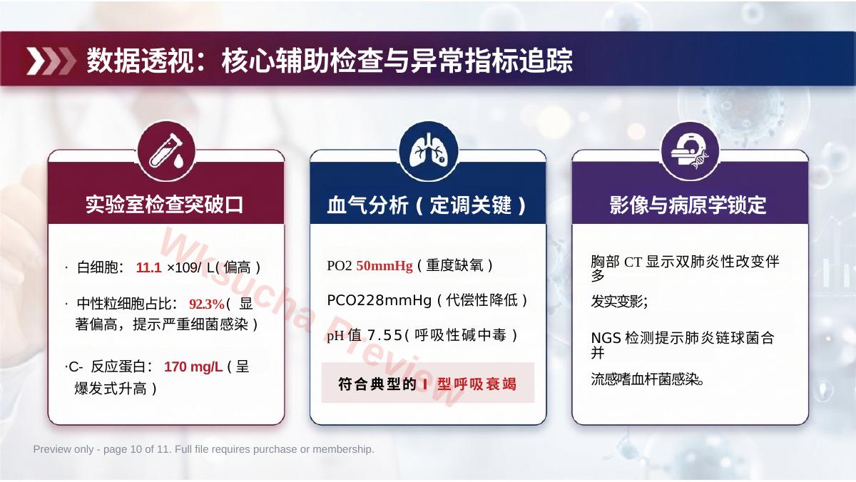 预览第 10 页
