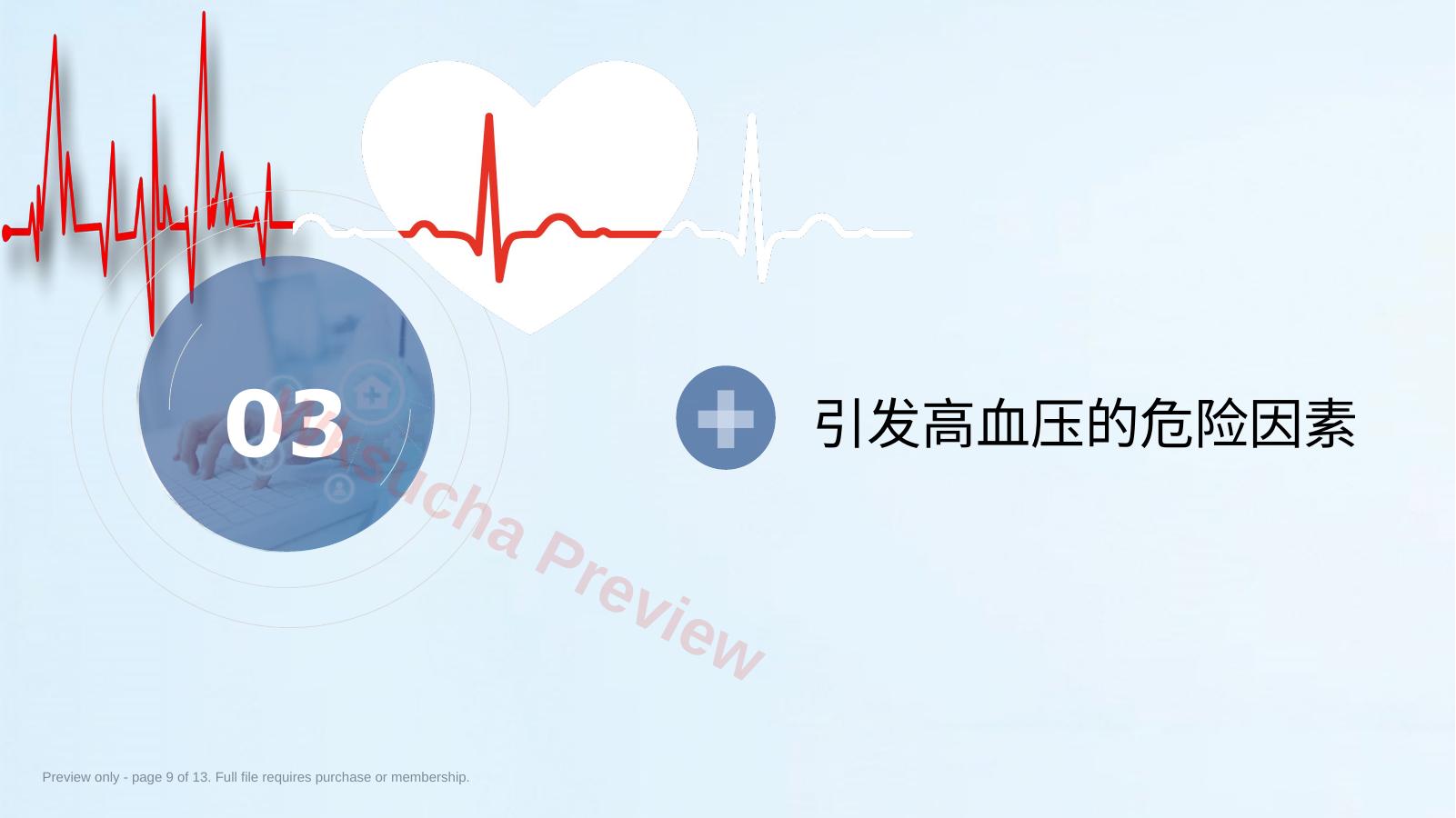 预览第 9 页
