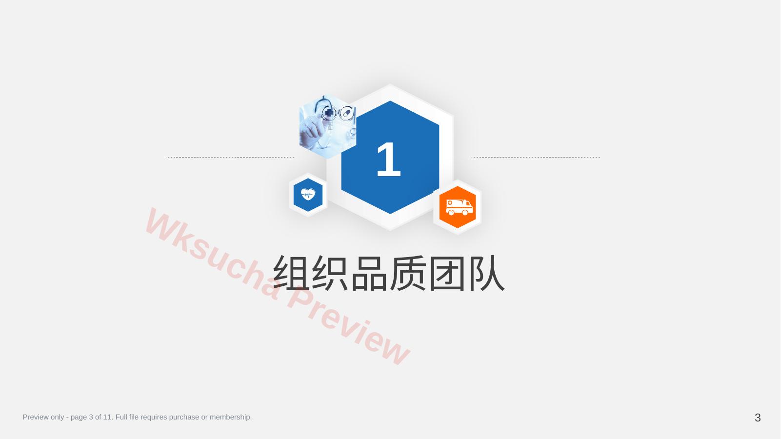 预览第 3 页