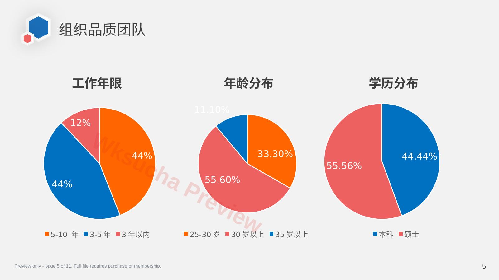预览第 5 页