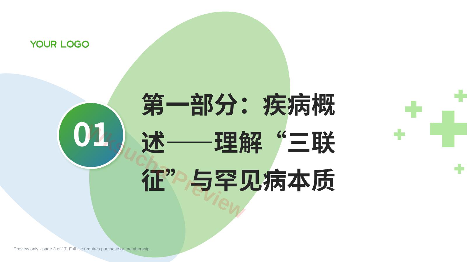 预览第 3 页