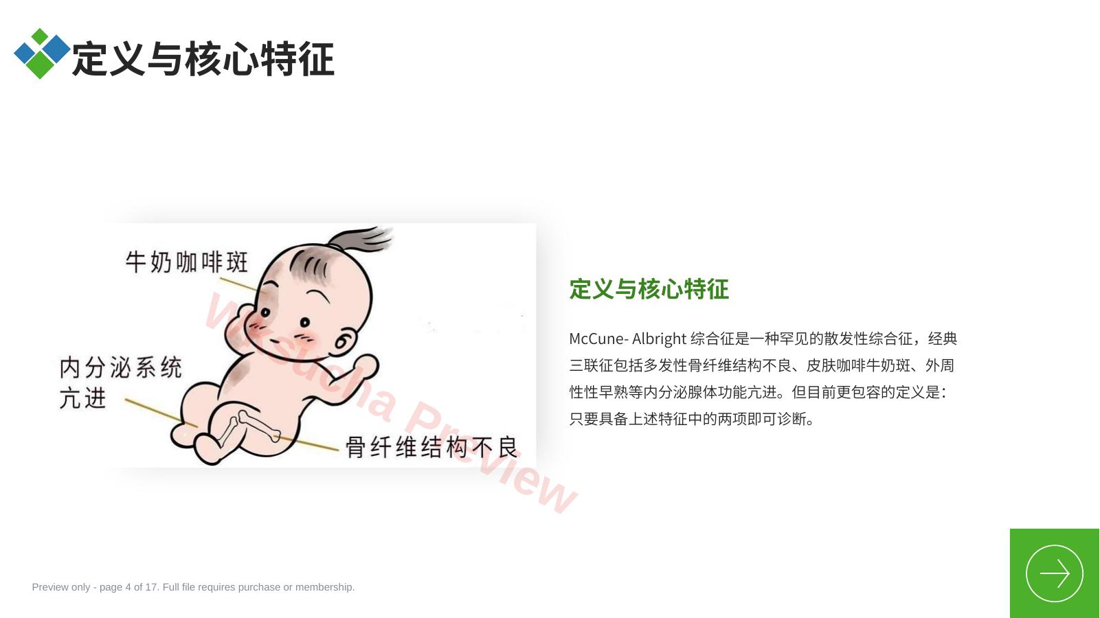 预览第 4 页