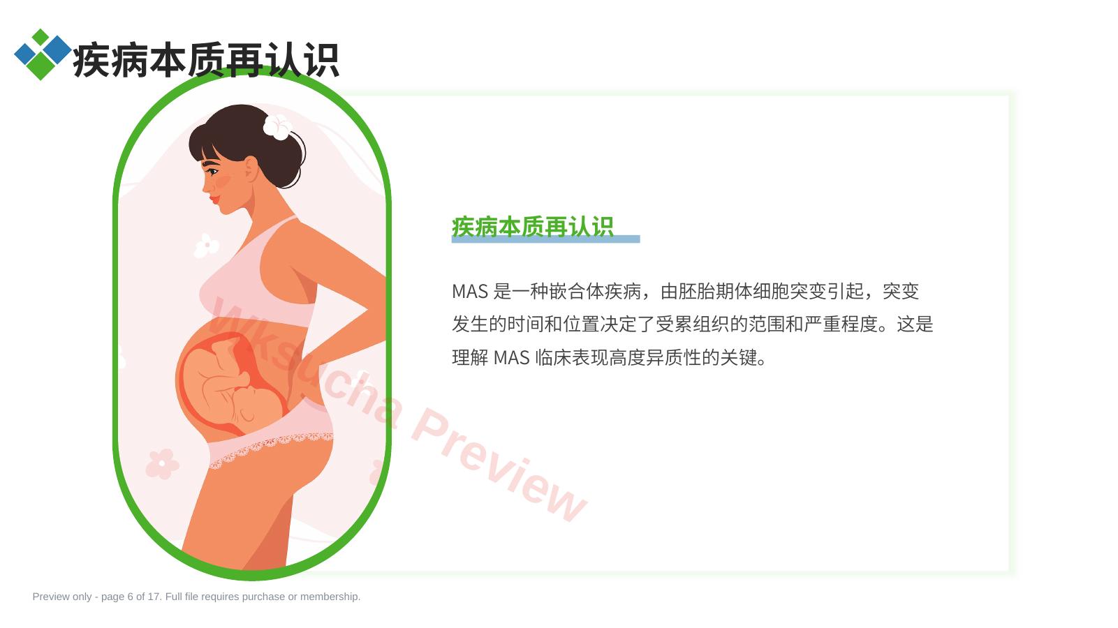 预览第 6 页
