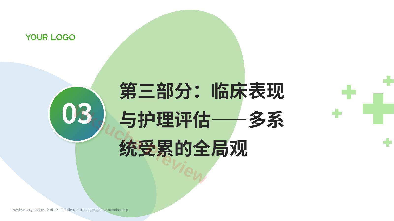 预览第 12 页