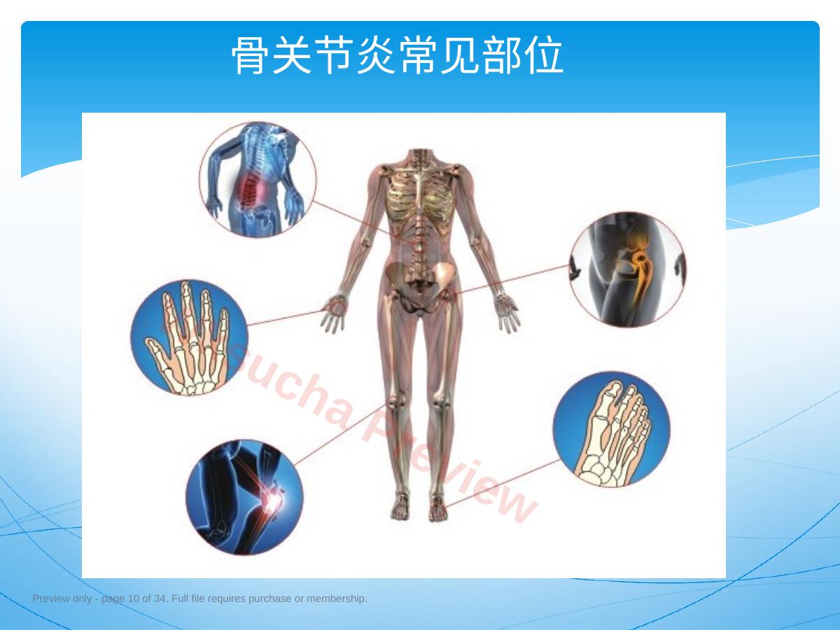 预览第 10 页