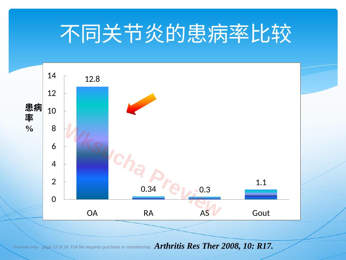 预览第 13 页