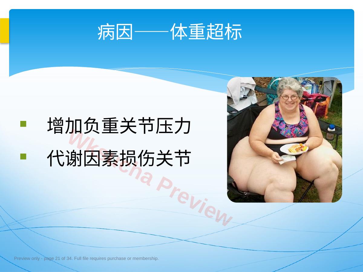 预览第 21 页