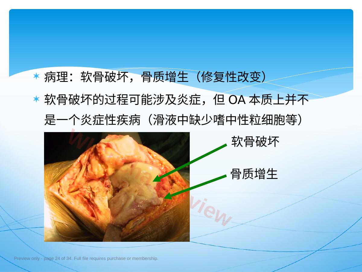 预览第 24 页