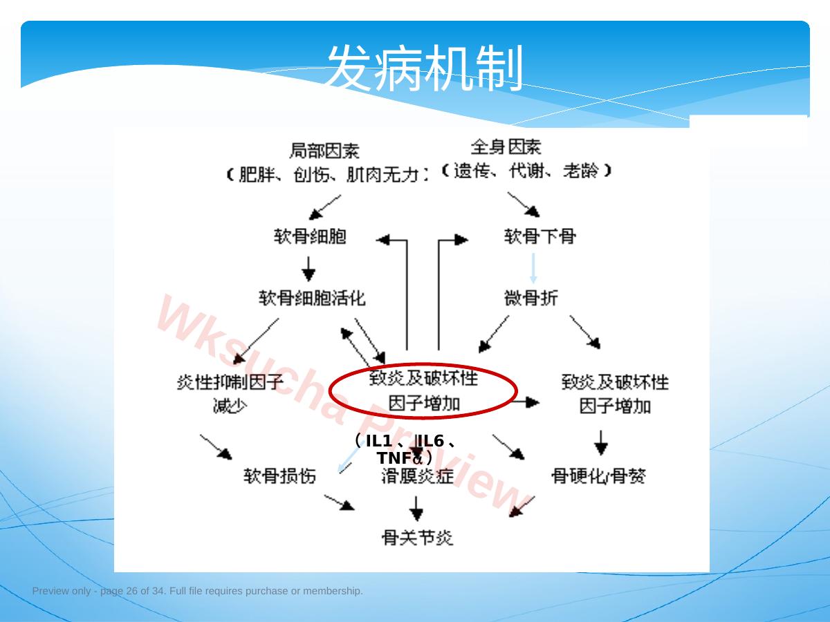 预览第 26 页