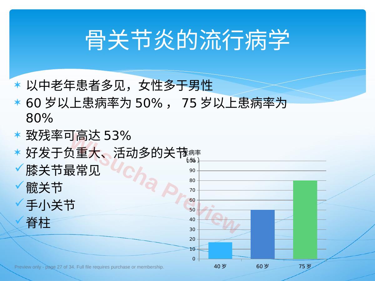 预览第 27 页