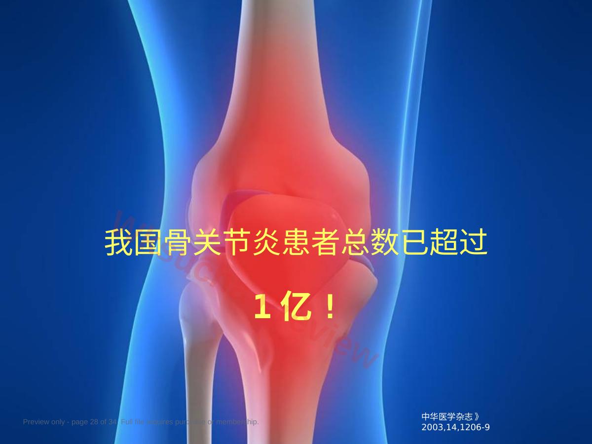 预览第 28 页
