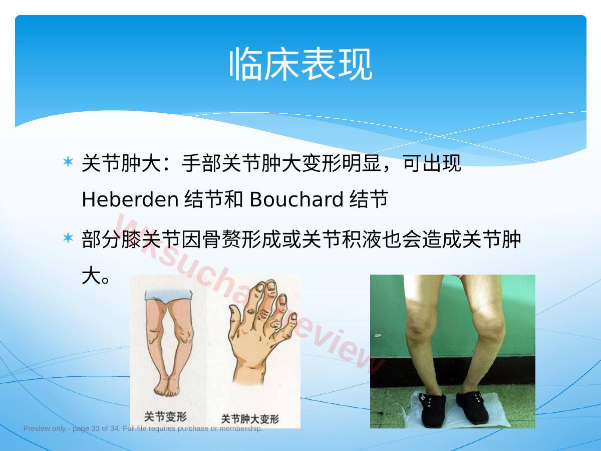 预览第 33 页