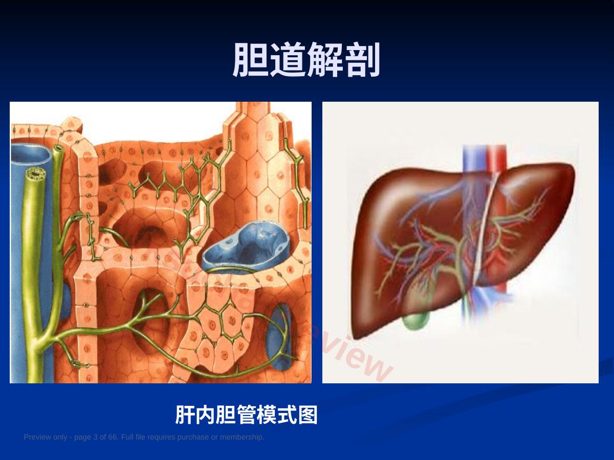 预览第 3 页