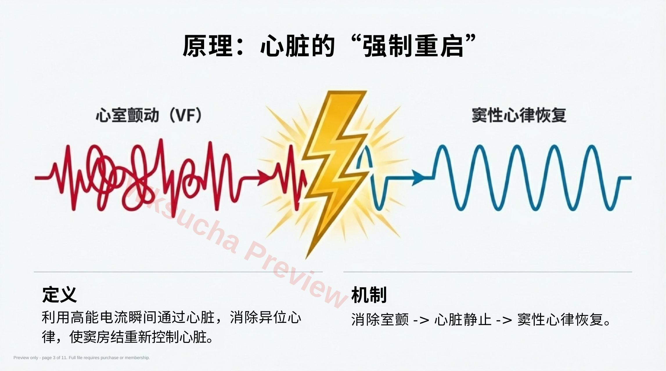 预览第 3 页