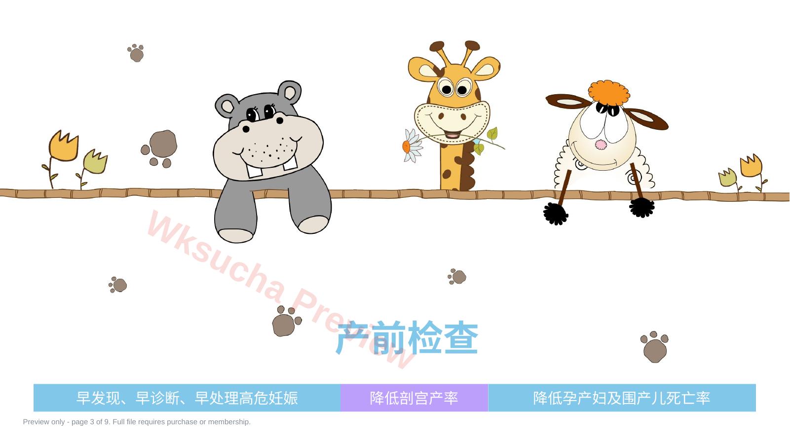 预览第 3 页