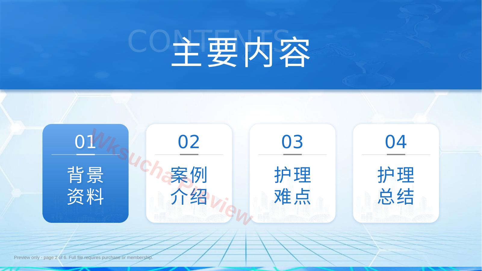 预览第 2 页