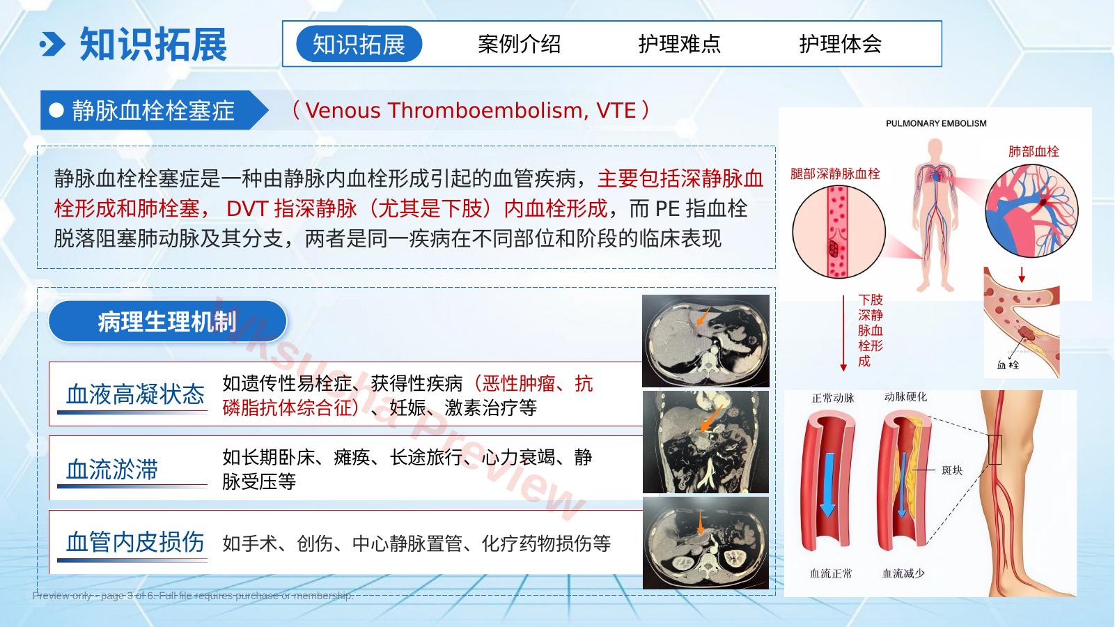 预览第 3 页