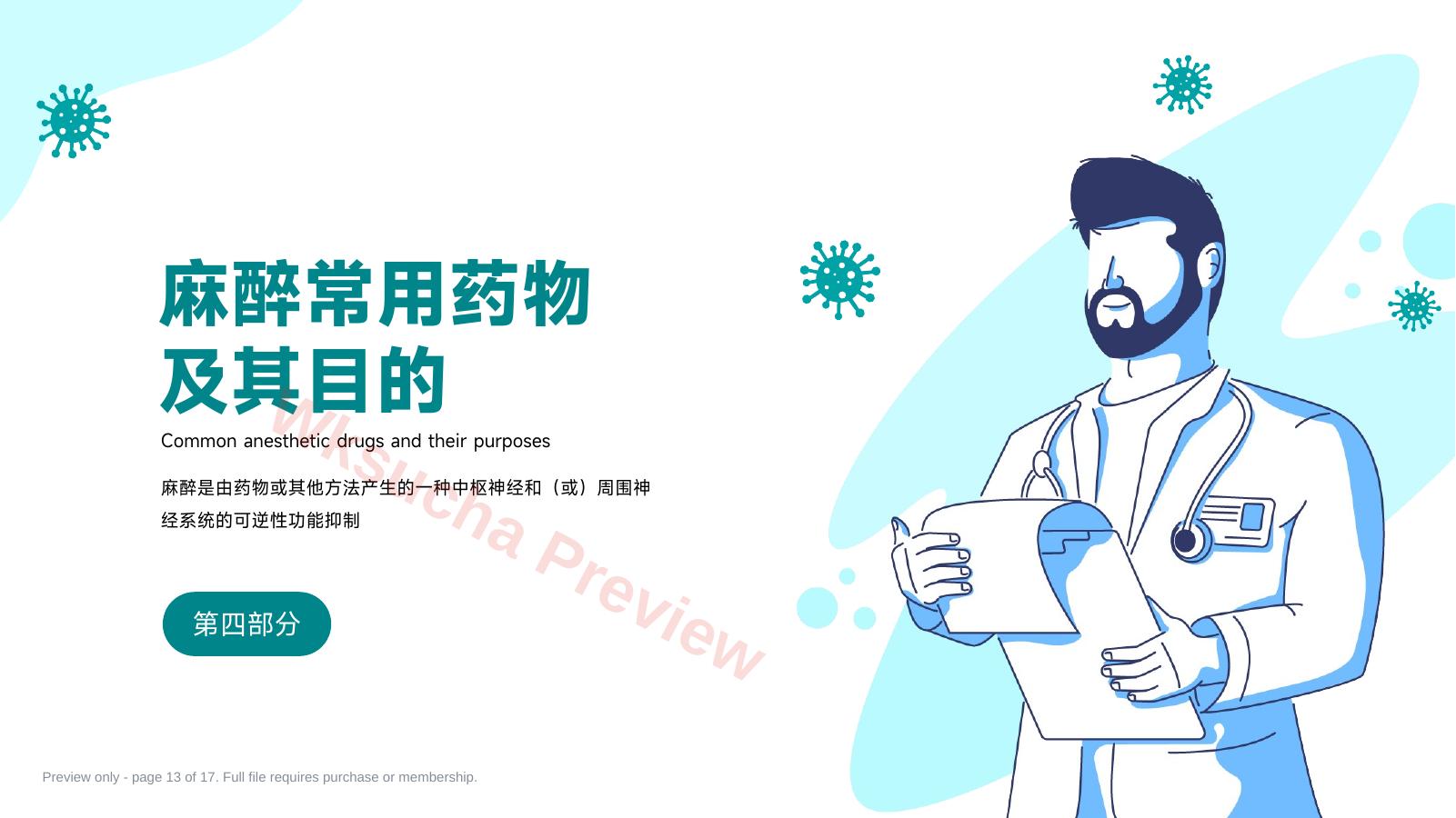预览第 13 页